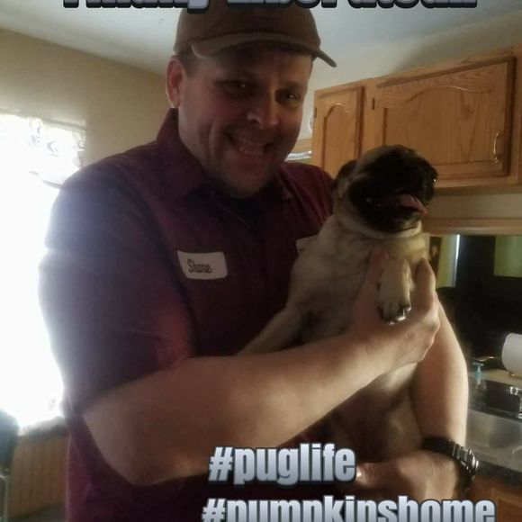 Meet your Posher, Shane - Picture 1 of 1